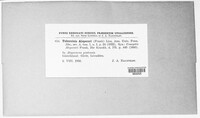 Image of Tuburcinia alopecuri